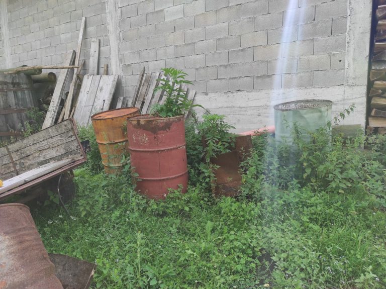 old barrels in grass