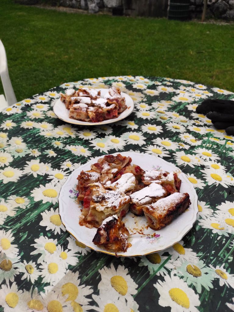 two plates of cherry pie on a flower pattern table