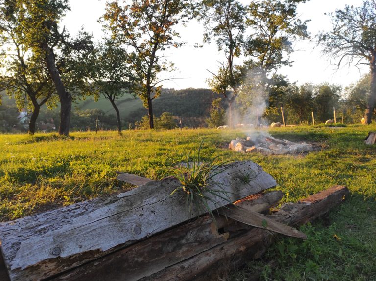 a backyard fire pit in the sunset