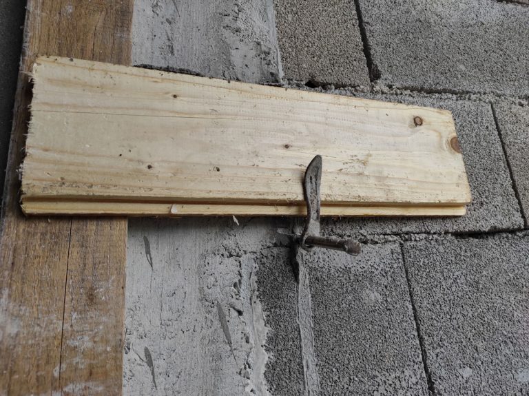 a detail of a mason pug