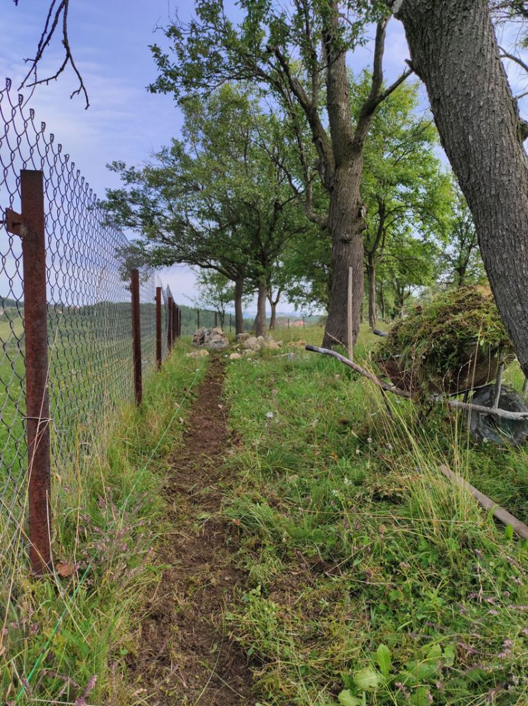 a row in dirt prepaired for a stone wall