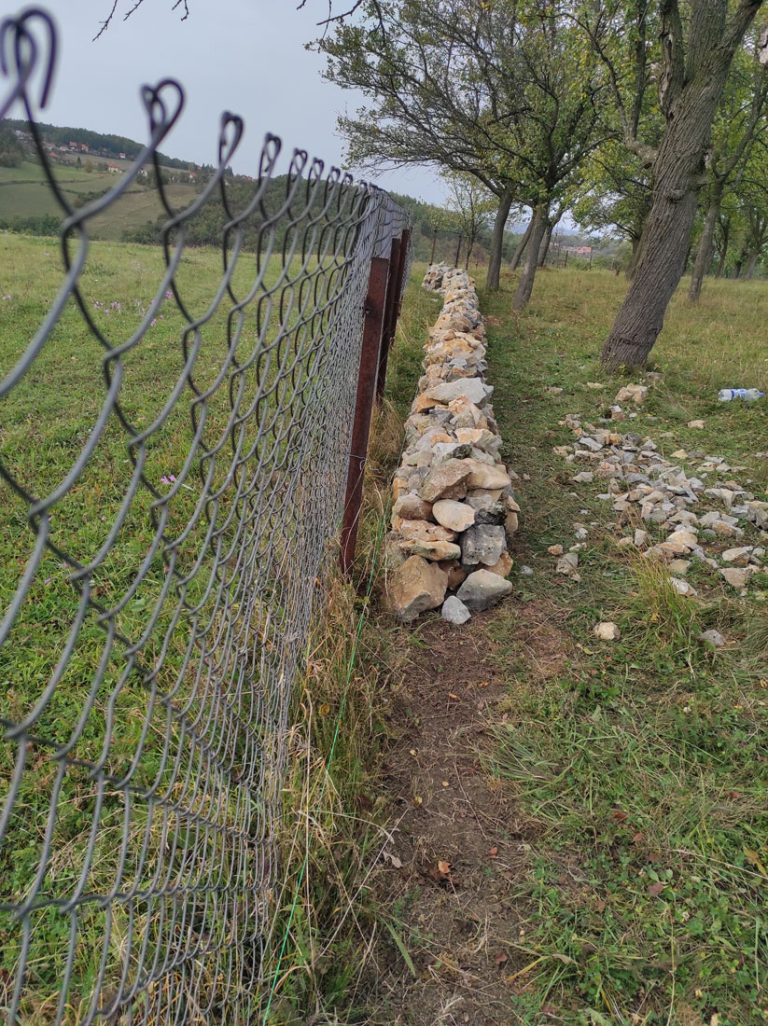 a stonewall by the fence