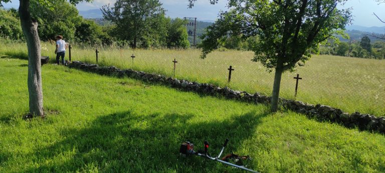 a stonewall by the fence