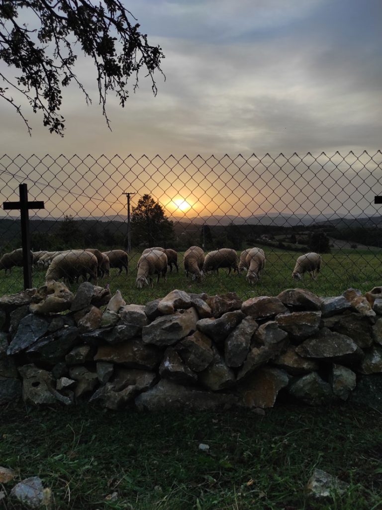 a stonewall by the fence and sheeps in the background