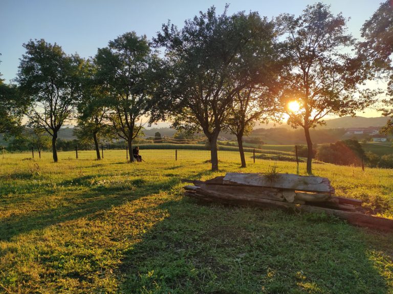 grandmather thaing a break in a field at the end of a day
