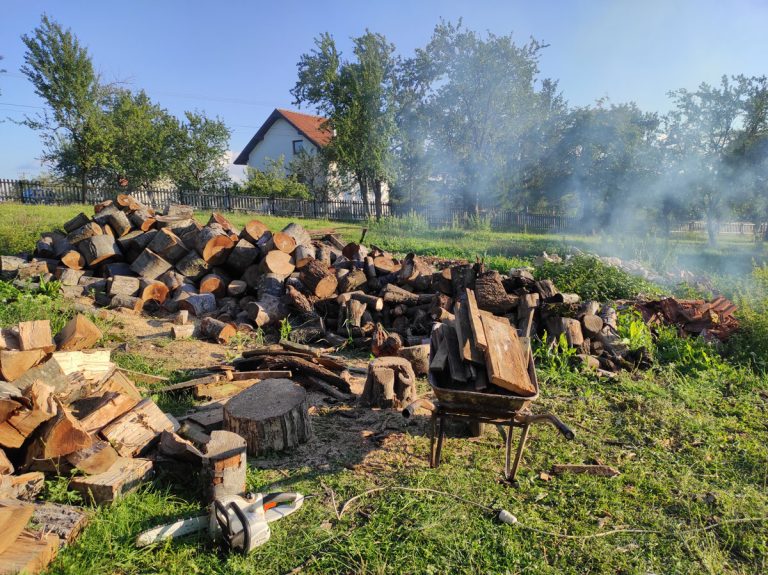 wood pile with a wheel barrow and a chainsow in a field
