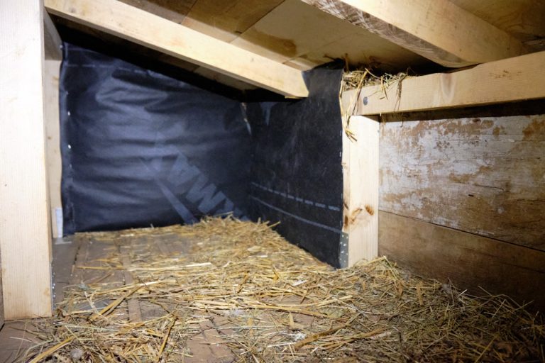 an interior of a dog house