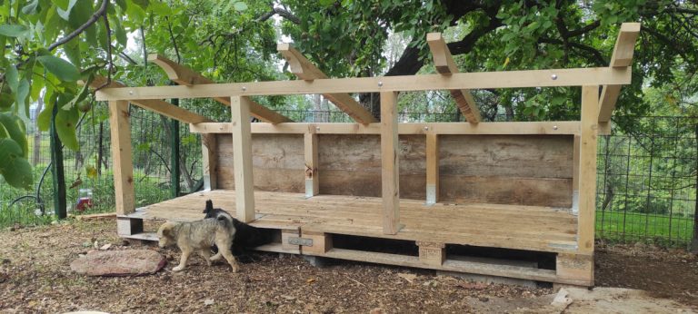 puppies in their future house