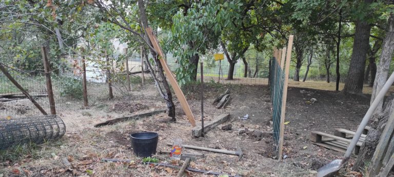 a dog house building process