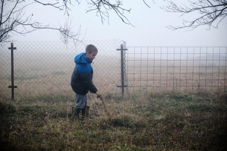 a kind by the fence in mist