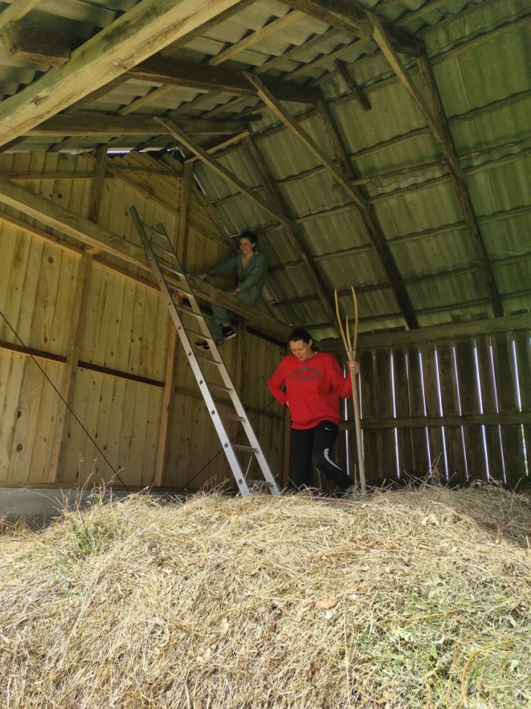workers on a hayloft