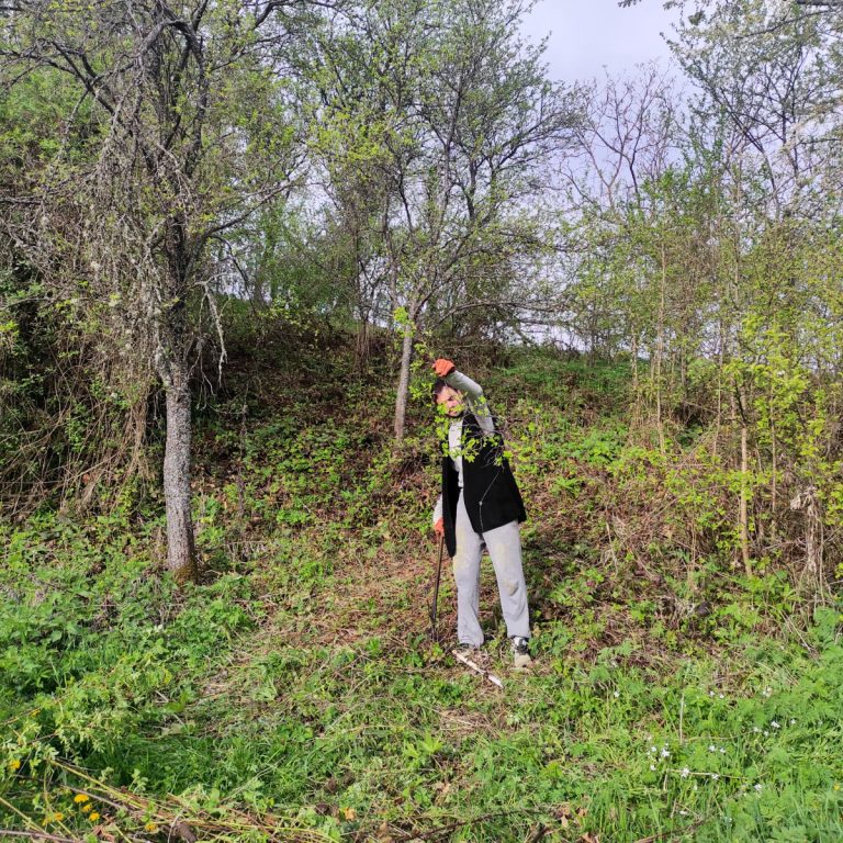 a worker cleaning a small forest