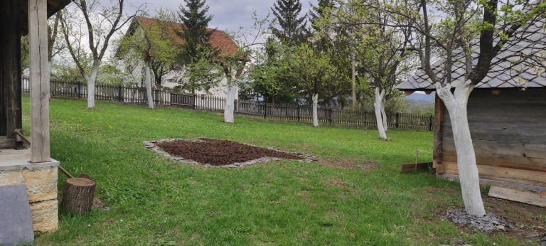 a small garden between wooden cottages