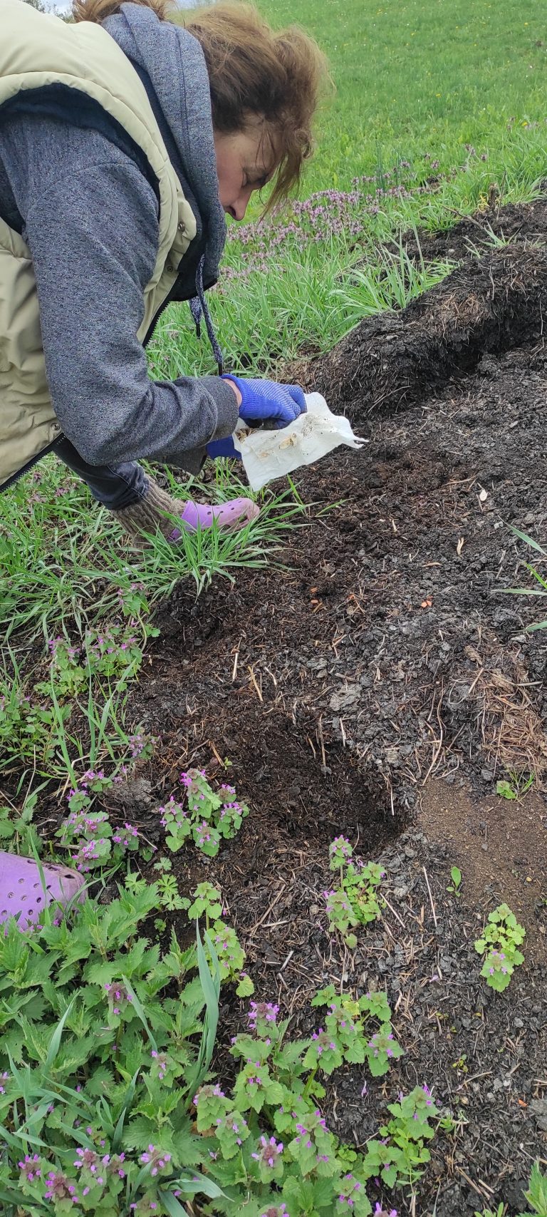 a woman planting flowers
