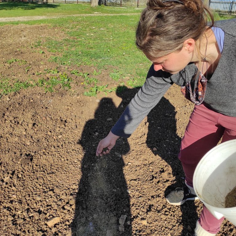 a woman planting flowers