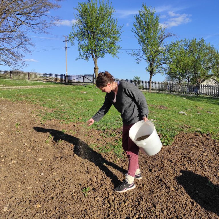 a woman planting flowers