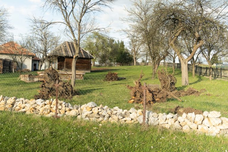 a backyard with a fence