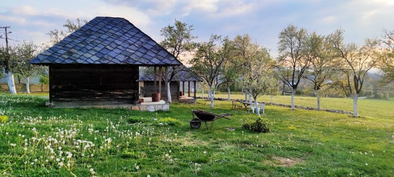 a backyard on a country side