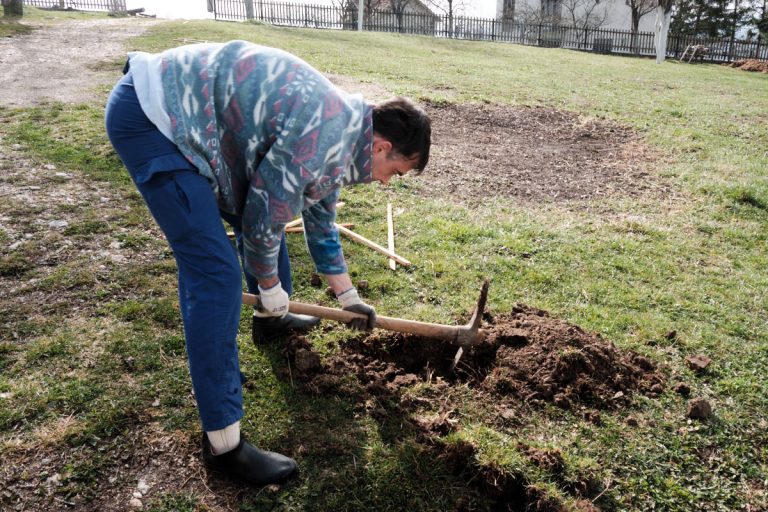 a man digging a hole for a tree