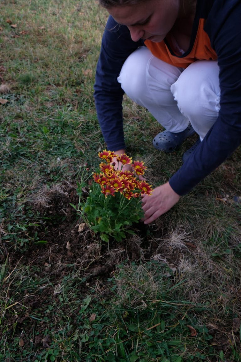 a girl planting flowers