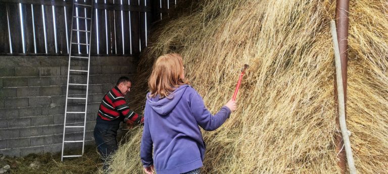 people in a hayloft