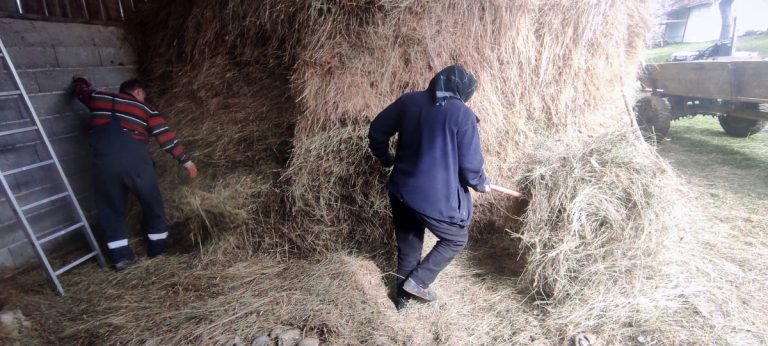 people cleaning a hayloft