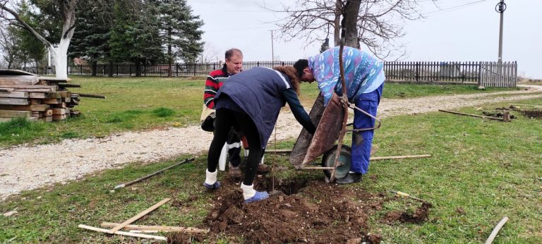 a man sitting and a woman and a man planting a tree