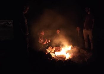 people gathering around a bonfire in the backyard